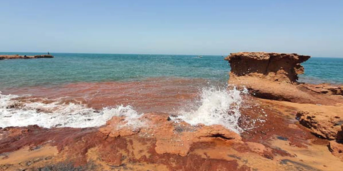 جزیره لارک