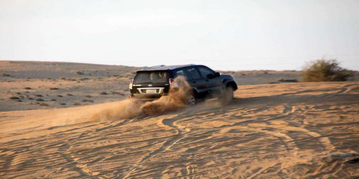 سافاری