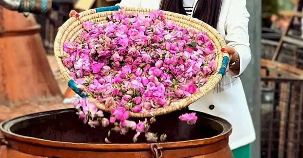 کاشان
