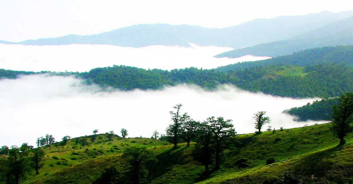 سمنان