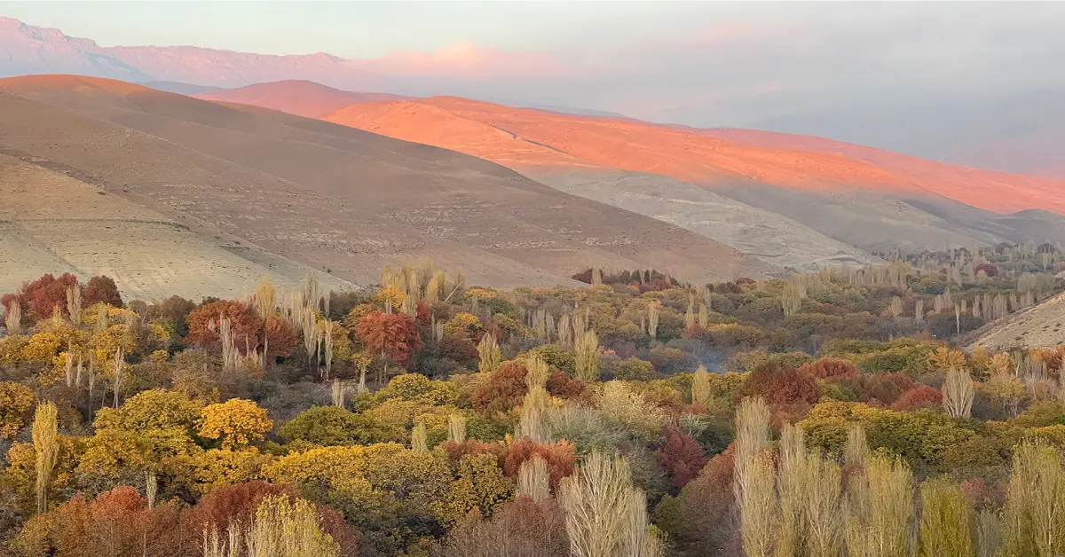 برغان
